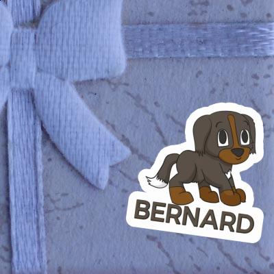 Berner Sennenhund Aufkleber Bernard Notebook Berner Sennenhund Aufkleber Bernard Gift package Image