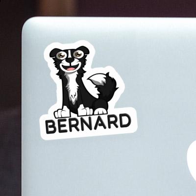 Aufkleber Border Collie Bernard Gift package Image