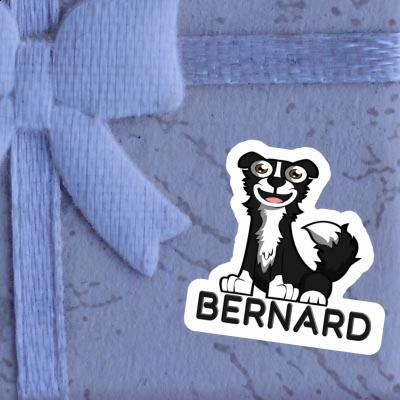 Aufkleber Border Collie Bernard Laptop Image