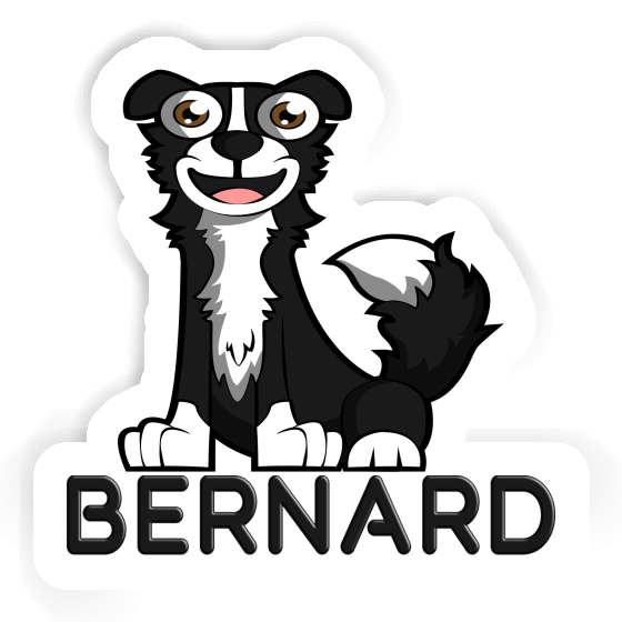 Aufkleber Border Collie Bernard Notebook Image