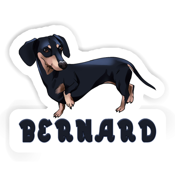 Dackel Sticker Bernard Notebook Dackel Sticker Bernard Gift package Image