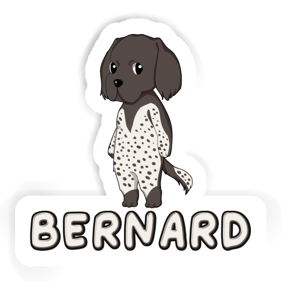 Sticker Kleiner Münsterländer Bernard Notebook Sticker Kleiner Münsterländer Bernard Gift package Image