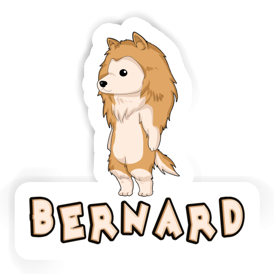 Aufkleber Collie Bernard Laptop Aufkleber Collie Bernard Laptop Image