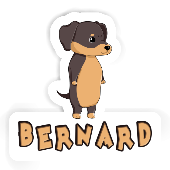 Sticker Dackel Bernard Sticker Dackel Bernard Image