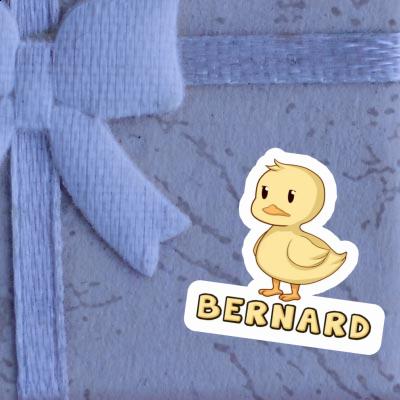 Aufkleber Bernard Ente Notebook Aufkleber Bernard Ente Gift package Image