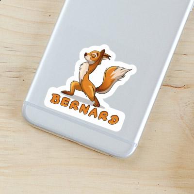 Sticker Bernard Yoga-Eichhörnchen Notebook Image