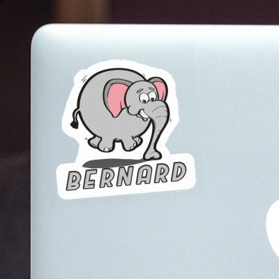Bernard Autocollant Éléphant Laptop Bernard Autocollant Éléphant Laptop Image
