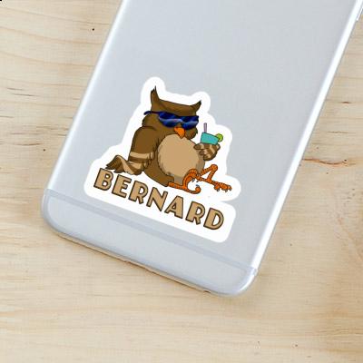 Cool Owl Sticker Bernard Notebook Cool Owl Sticker Bernard Gift package Image