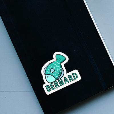 Fisch Sticker Bernard Gift package Image