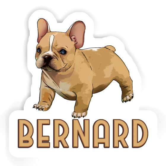 Bulldogge Aufkleber Bernard Laptop Bulldogge Aufkleber Bernard Laptop Image