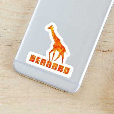 Bernard Sticker Giraffe Notebook Bernard Sticker Giraffe Gift package Image