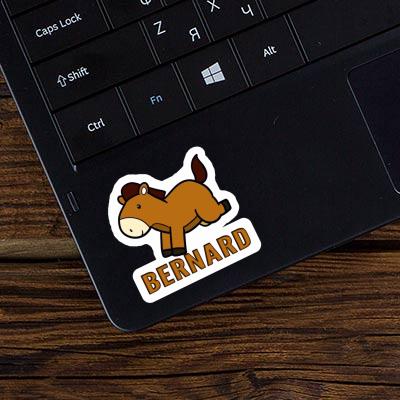 Aufkleber Bernard Pferd Laptop Aufkleber Bernard Pferd Laptop Image