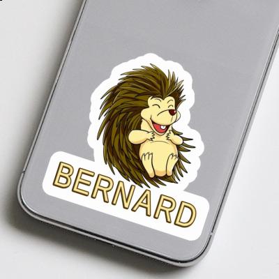 Hérisson Autocollant Bernard Laptop Image