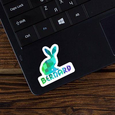 Rabbit Sticker Bernard Gift package Image