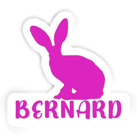 Bernard Autocollant Lapin Notebook Bernard Autocollant Lapin Gift package Image