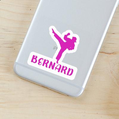 Sticker Karateka Bernard Notebook Sticker Karateka Bernard Gift package Image
