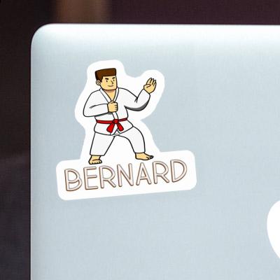 Sticker Karateka Bernard Notebook Sticker Karateka Bernard Gift package Image