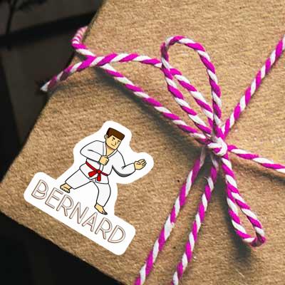 Sticker Karateka Bernard Laptop Image