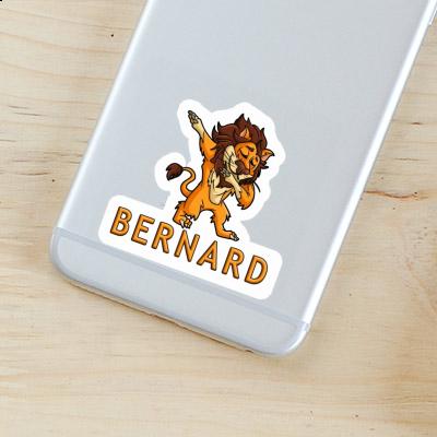 Autocollant Bernard Lion Notebook Autocollant Bernard Lion Gift package Image