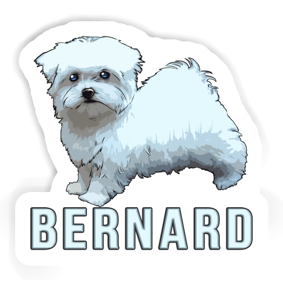 Bernard Sticker Hündchen Notebook Bernard Sticker Hündchen Gift package Image