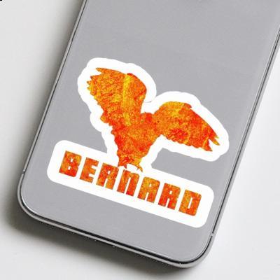 Bernard Sticker Eule Bernard Sticker Eule Image