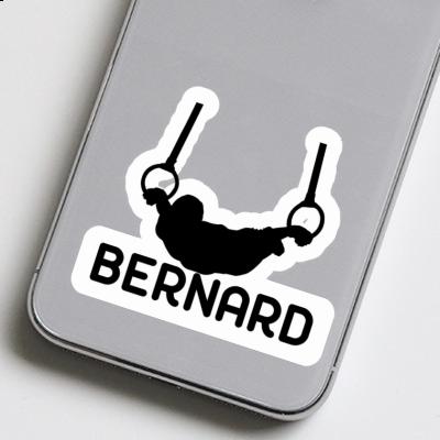 Ring gymnast Sticker Bernard Laptop Ring gymnast Sticker Bernard Laptop Image