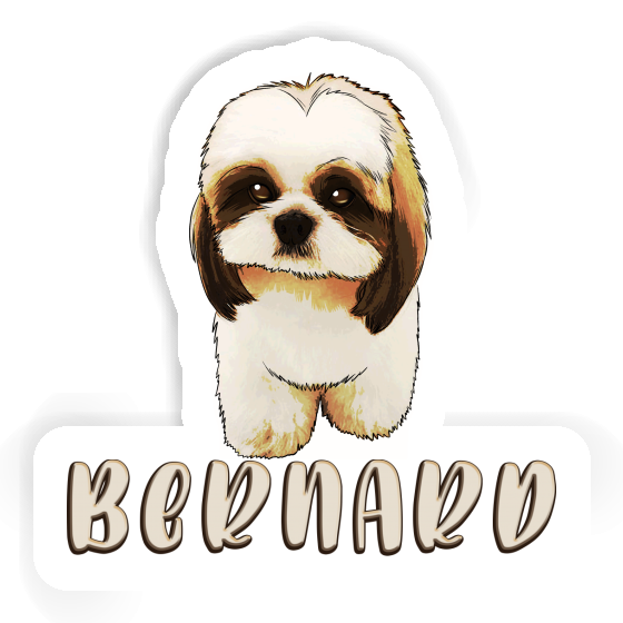 Bernard Aufkleber Shih Tzu Laptop Bernard Aufkleber Shih Tzu Laptop Image