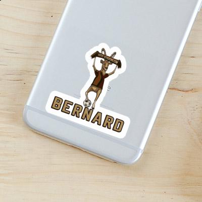 Bernard Sticker Steinbock Laptop Bernard Sticker Steinbock Laptop Image