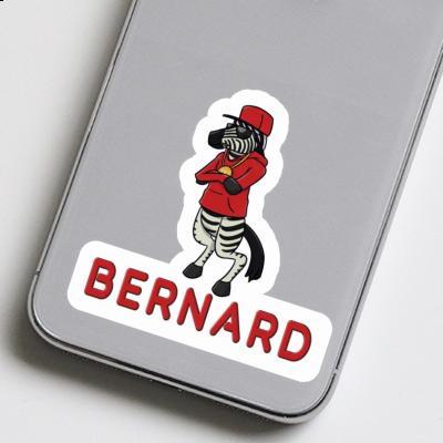 Bernard Autocollant Zebra Gift package Image