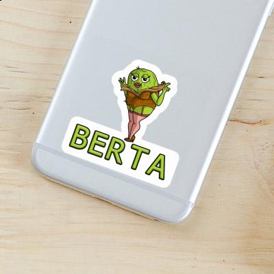 Sticker Kiwi Berta Gift package Image