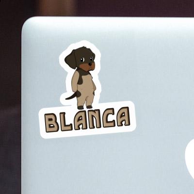 Chien d'arrêt allemand à poil du Autocollant Blanca Chien d'arrêt allemand à poil du Autocollant Blanca Image