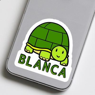 Sticker Blanca Turtle Notebook Image