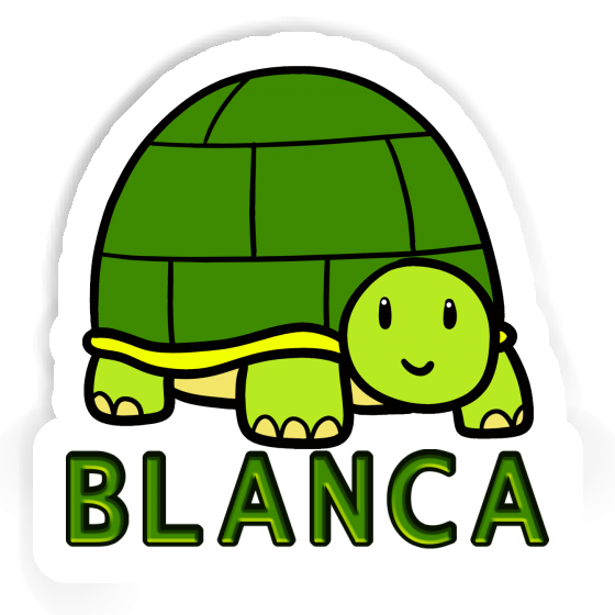 Autocollant Tortue Blanca Gift package Image