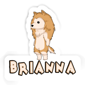 Aufkleber Collie Brianna Image