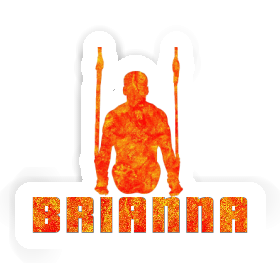 Brianna Sticker Ring gymnast Image