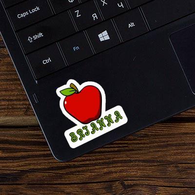 Apple Sticker Brianna Gift package Image