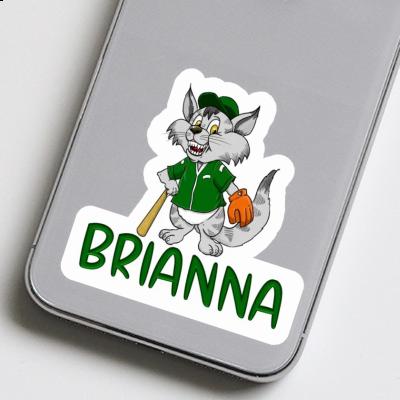 Baseball Cat Sticker Brianna Gift package Image