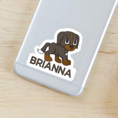 Brianna Aufkleber Sennenhund Gift package Image