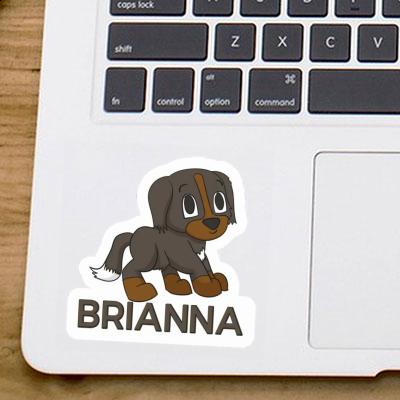 Chien de bouvier Autocollant Brianna Gift package Image