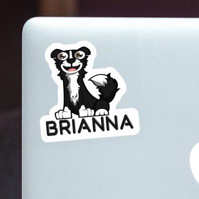 Autocollant Brianna Border Collie Gift package Image