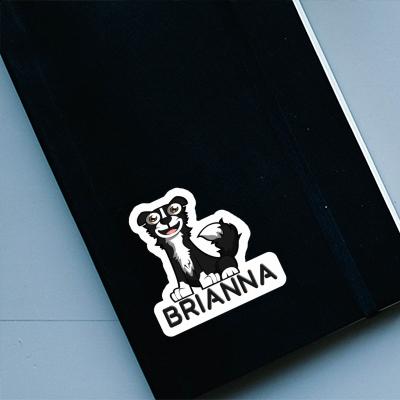 Autocollant Brianna Border Collie Notebook Image