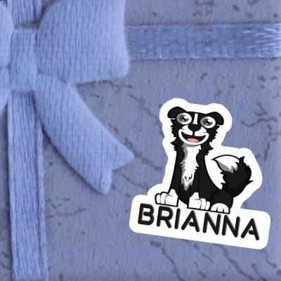 Autocollant Brianna Border Collie Gift package Image