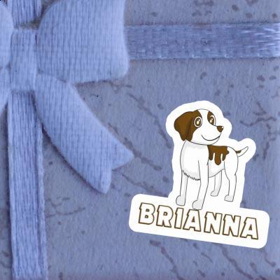 Épagneul Autocollant Brianna Gift package Image