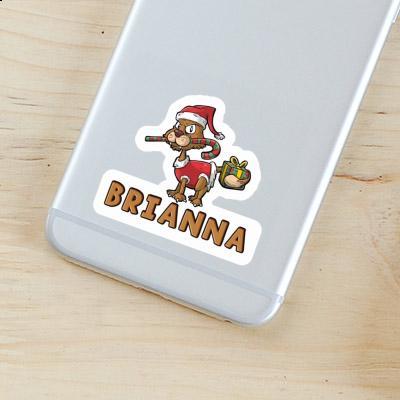 Sticker Christmas Cat Brianna Gift package Image