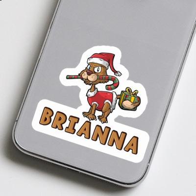 Autocollant Brianna Chat de Noël Gift package Image