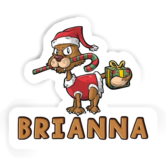 Sticker Christmas Cat Brianna Gift package Image