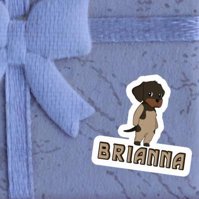 Brianna Sticker Deutsch Drahthaar Gift package Image