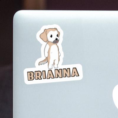 Sticker Brianna Golden Retriever Gift package Image