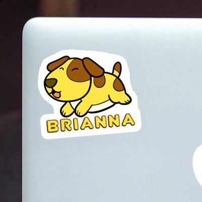 Brianna Sticker Dog Gift package Image