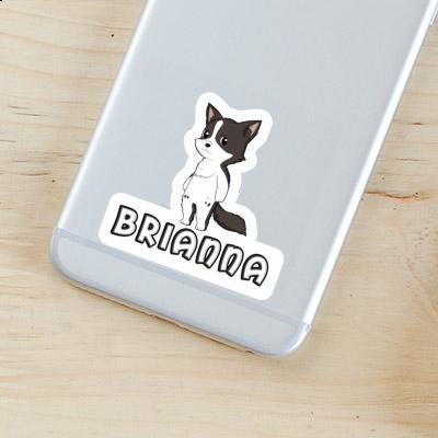 Sticker Brianna Border Collie Image